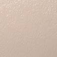 Beige Color