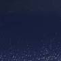 Navy Color