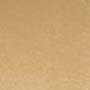 Tan Color