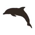 Dolphin #1