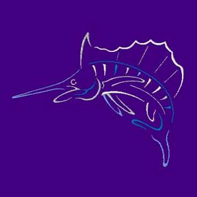 Sailfish