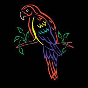 Scarlet Macaw