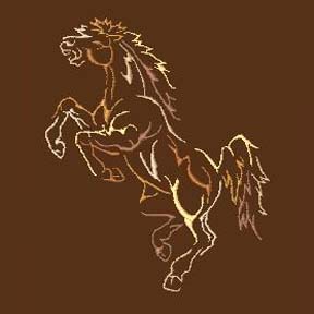 Stallion