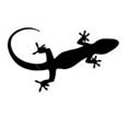 Gecko