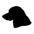 Dog Silhouette