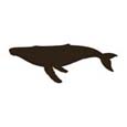 Whale